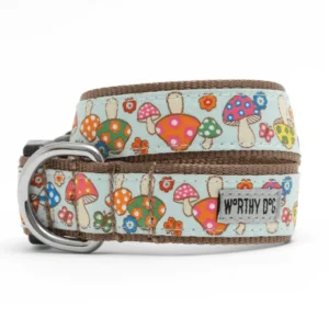 Mushrooms Collar/Leash